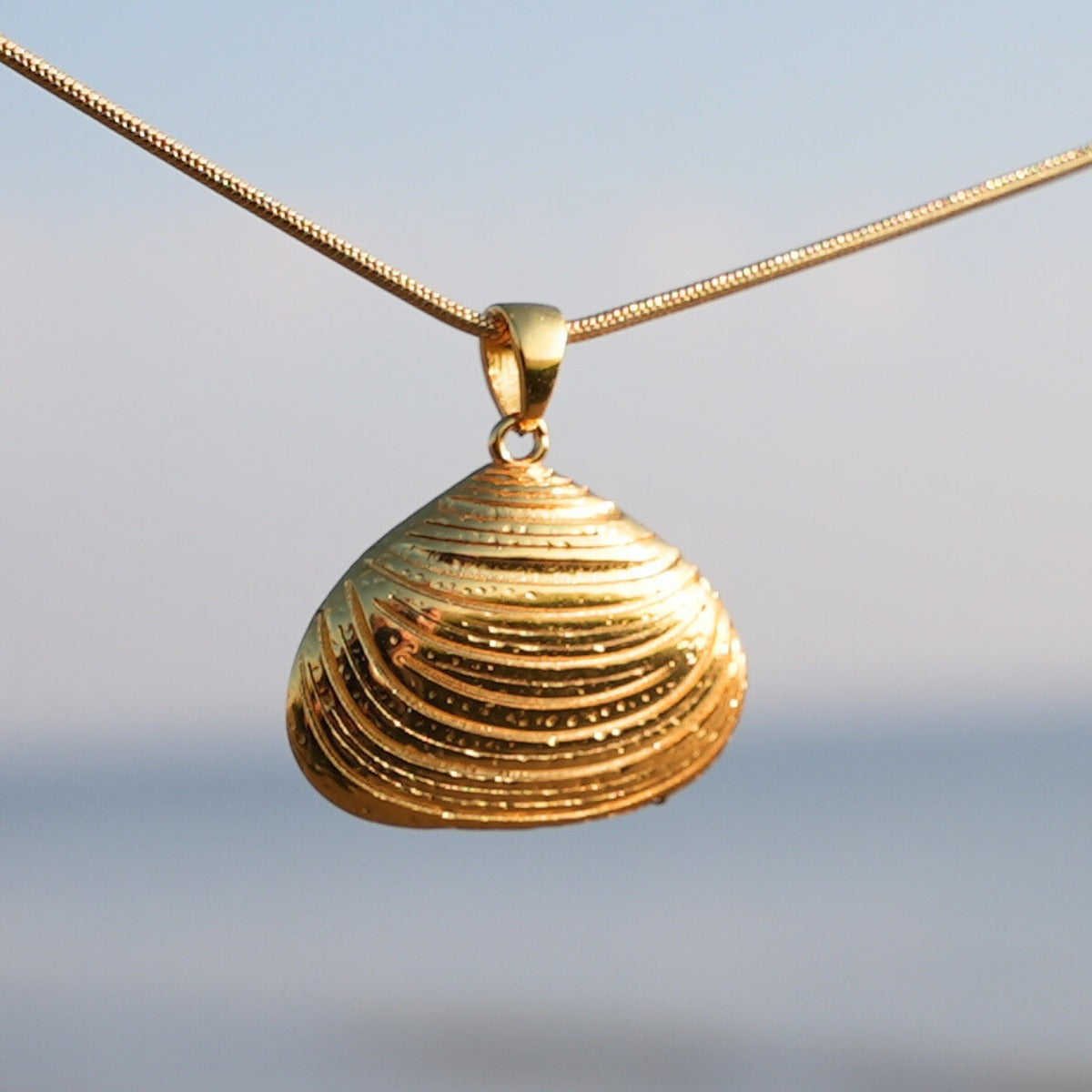 Clam - silver