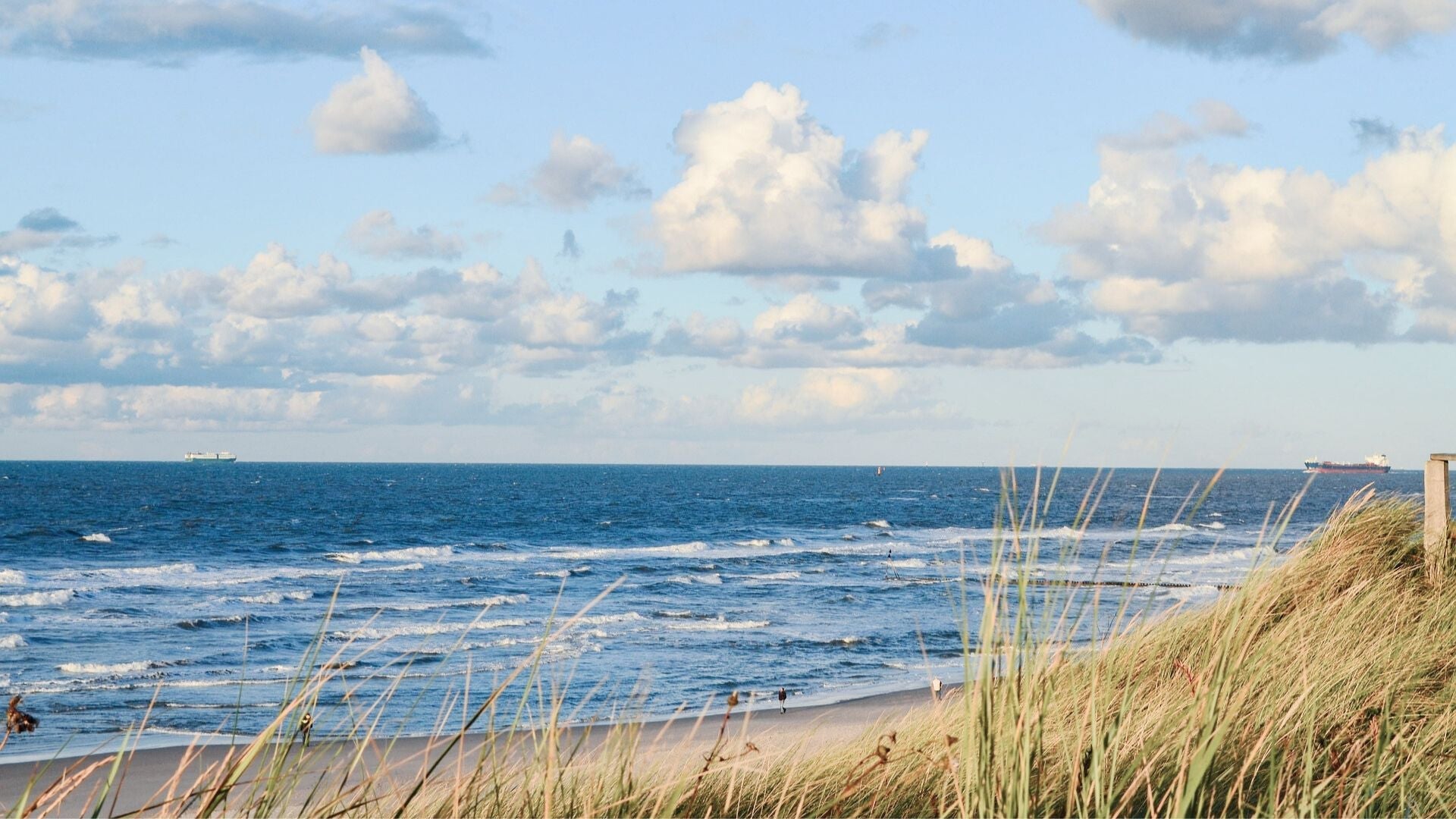 Ideen für deinen Urlaub in Nordfriesland! Reiseführer 2023 - Nordlust®