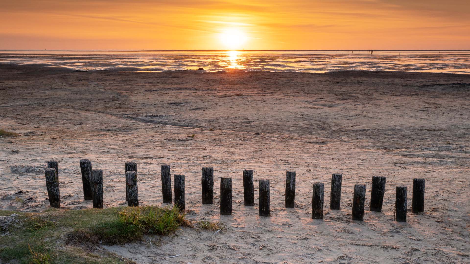 Kurzgeschichte Wattenmeer: Wohlfühlen im Naturerbe - Nordlust®