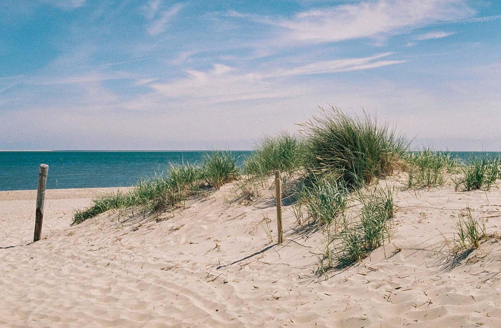 Sanddüne mit Strandgras am Meer unter blauem Himmel, maritimes Küstenmotiv