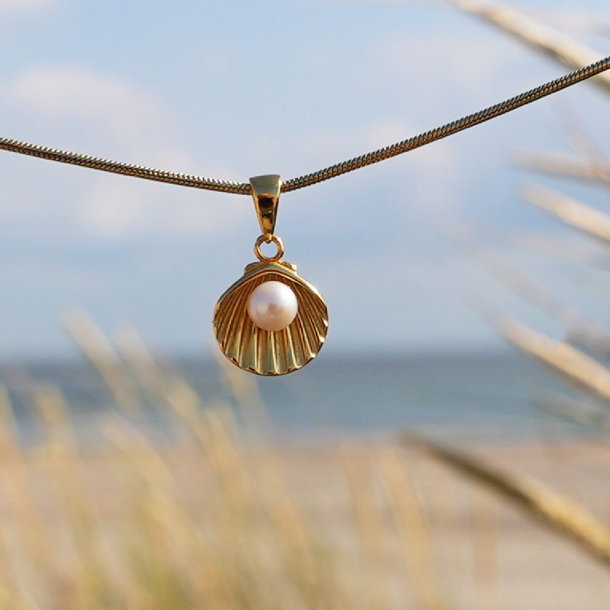 Pearl shell - gold