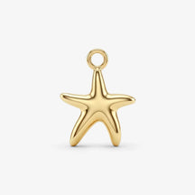 Goldener Seestern Anhänger maritimer Schmuck für Ketten auf weißem Hintergrund