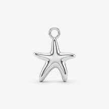 Silberner Seestern Anhänger maritimer Schmuck für Ketten und Ohrringe