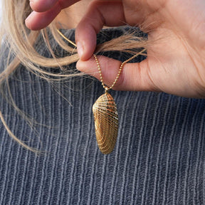 Engelsmuschel-Anhänger aus Gold an filigraner Kette, maritimer Schmuck am Hals