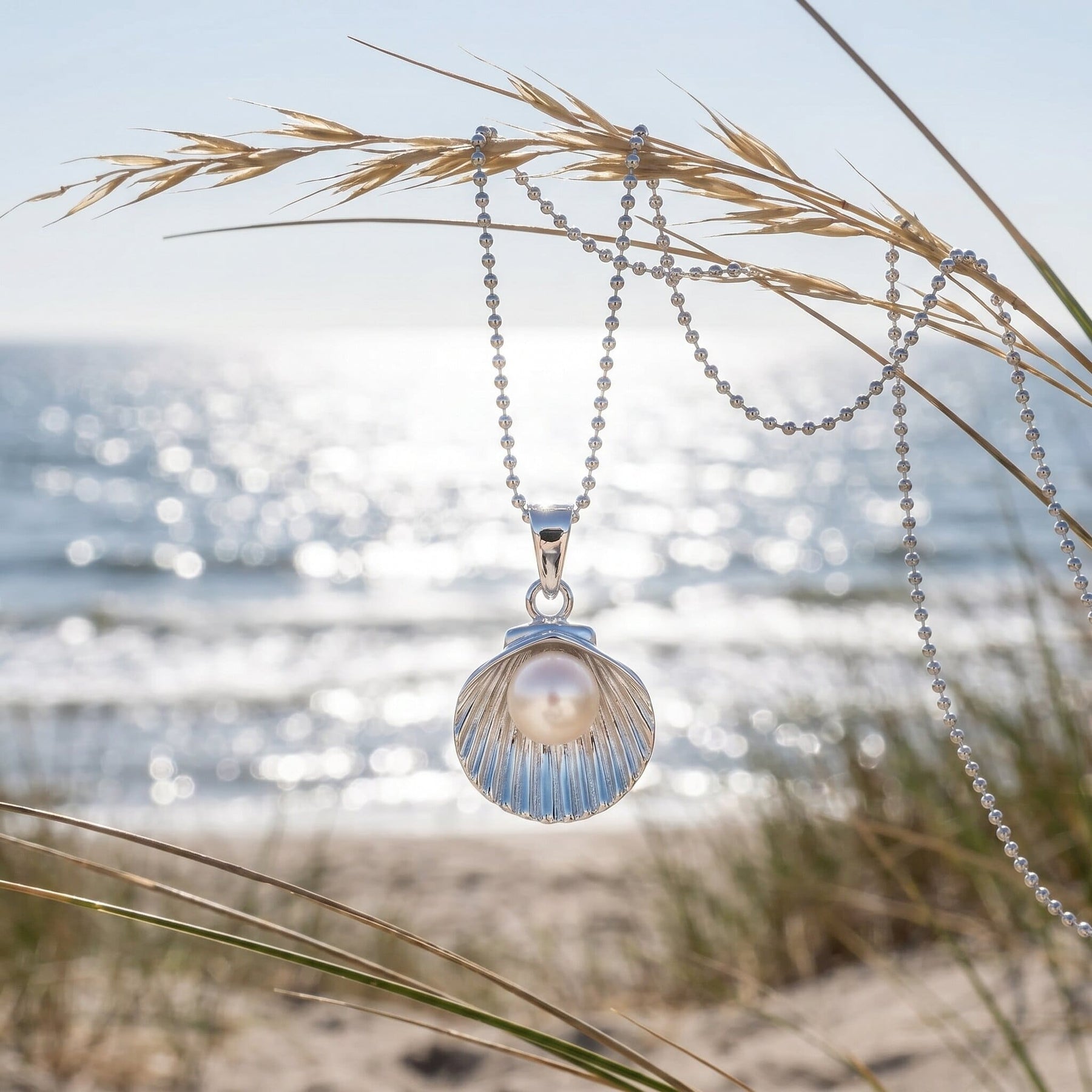 Muschel mit Perle