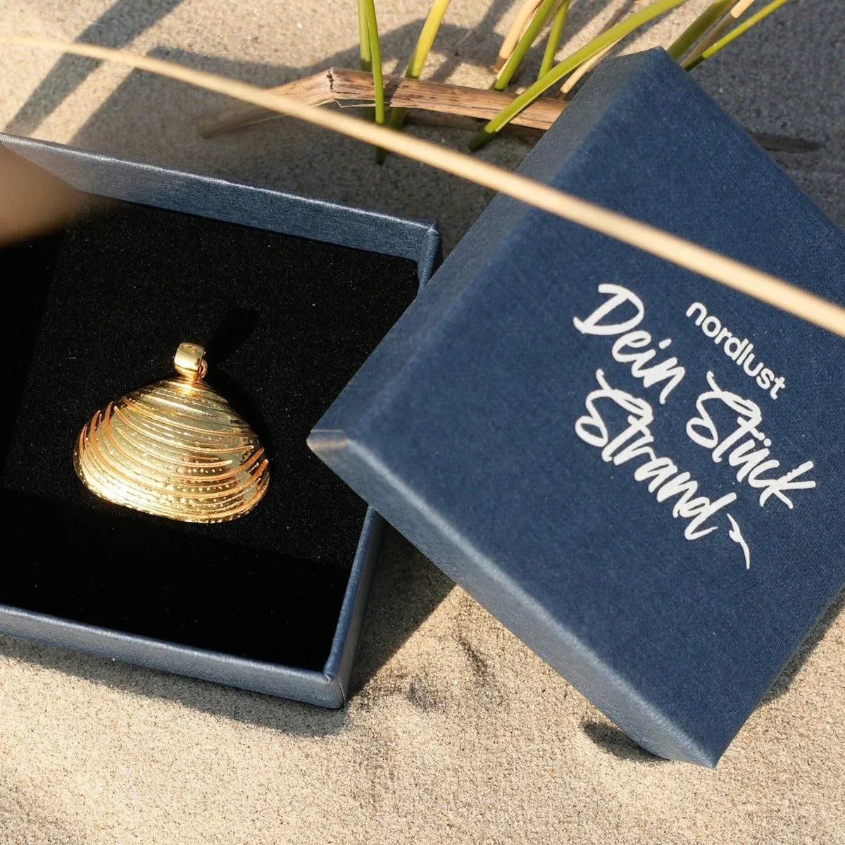 Goldener Muschel-Anhänger in Schmuckbox im Sand, maritimer Schmuck mit Strandmotiv