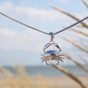 Silberne Kette mit Krebs-Anhänger am Strand, maritimer Schmuck, Meerblick