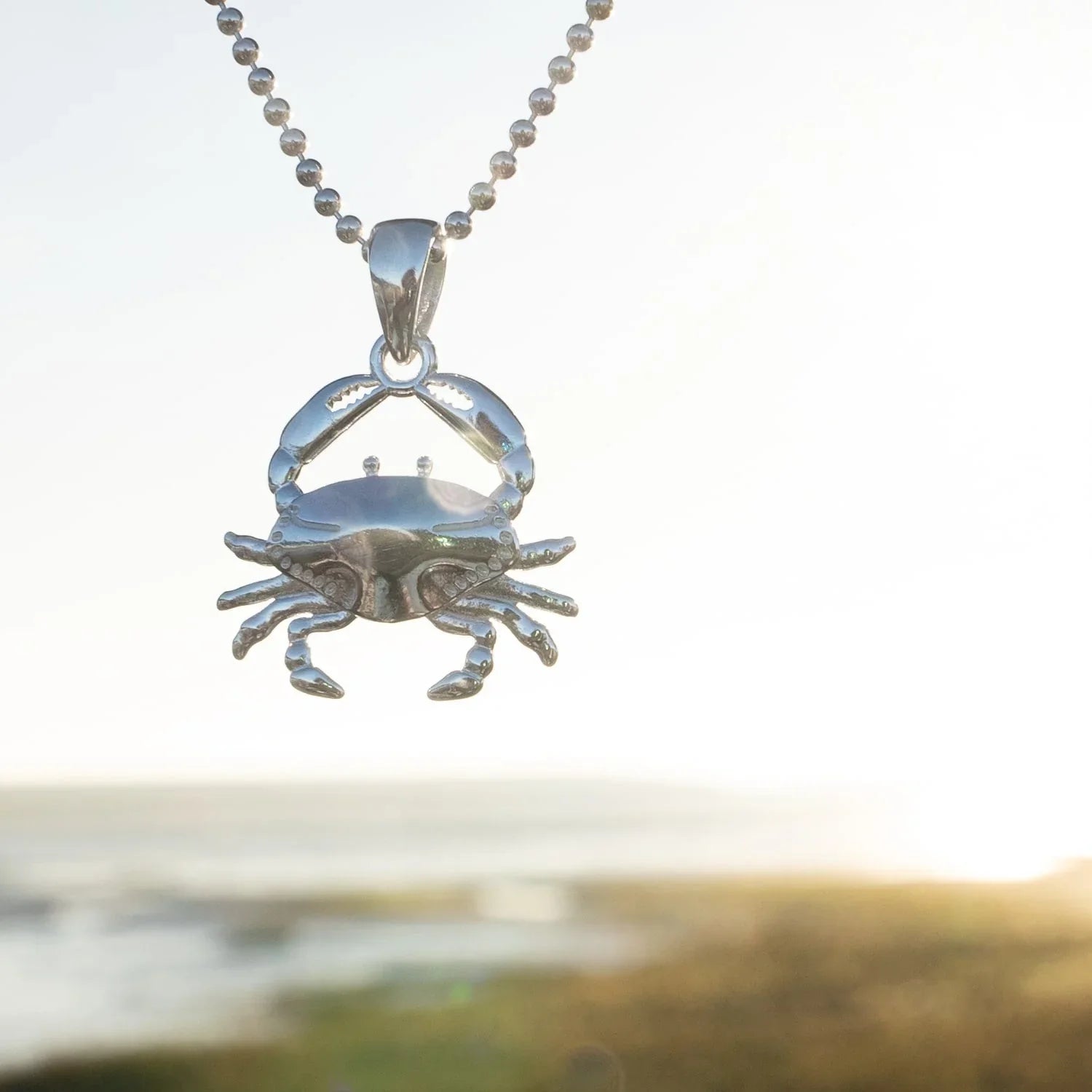 Silberne Kette mit Krebs-Anhänger, maritimer Schmuck, vor sonnigem Meereshintergrund