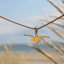Möwe