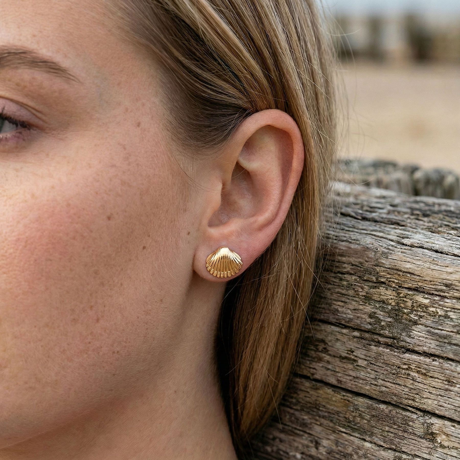 Ohrstecker Herzmuschel