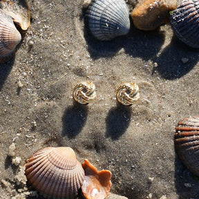 Goldene Knoten-Ohrstecker auf Sand mit Muscheln, maritimer Schmuck am Strand
