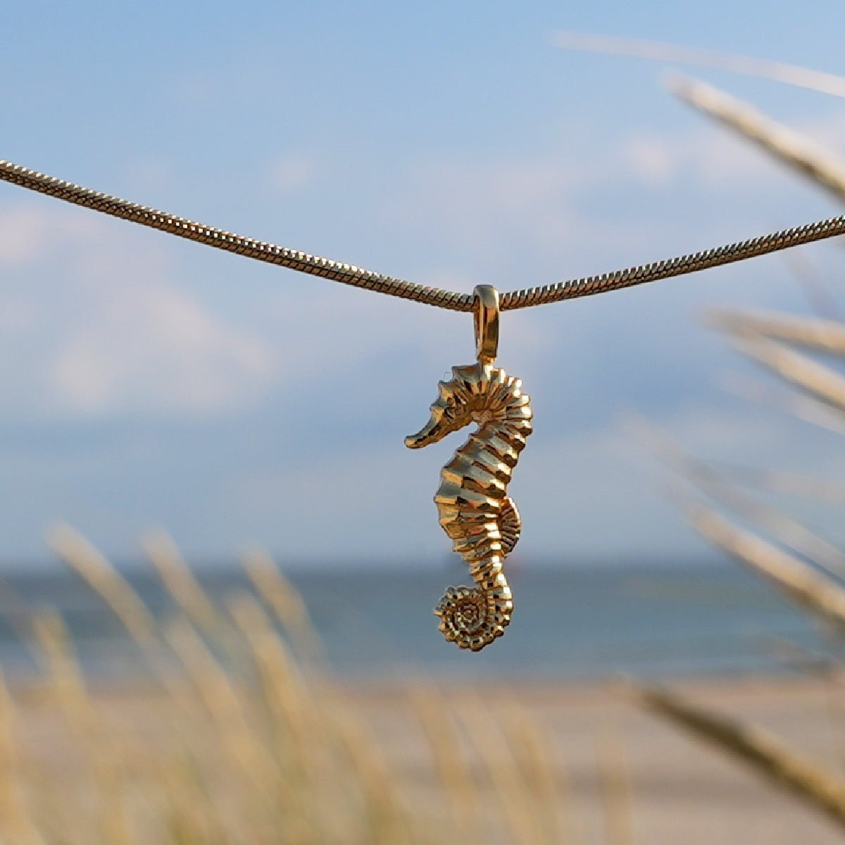 Seepferdchen - Gold - Nordlust®